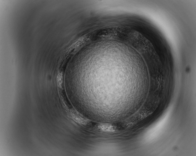 X0000100840767200806271112