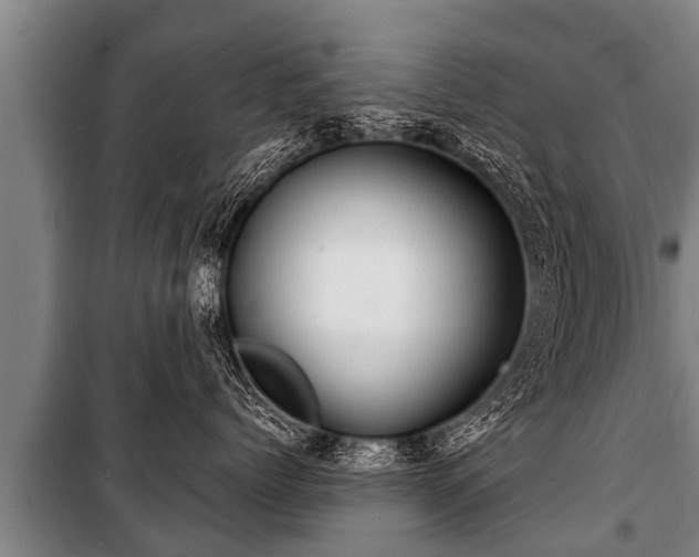 X0000100840768200806271112