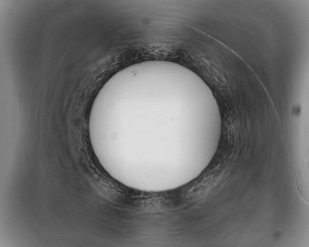 X0000100840769200806271111