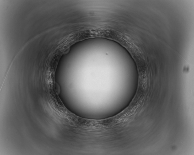 X0000100840770200806271111