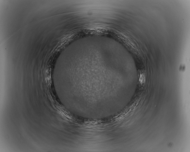 X0000100840771200806271111