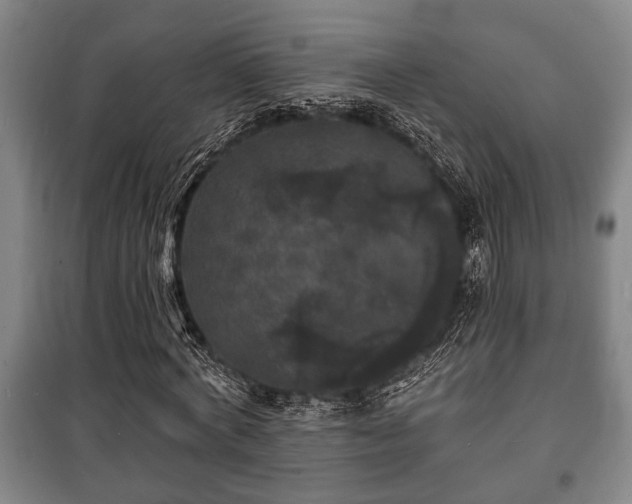 X0000100840772200806271111