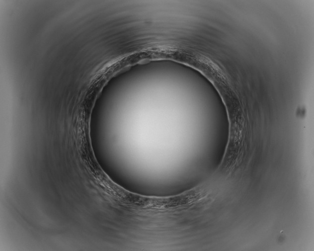 X0000100840773200806271111