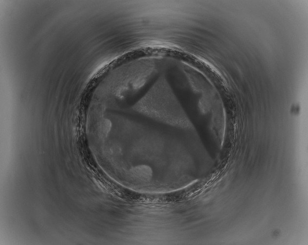 X0000100840775200806271111