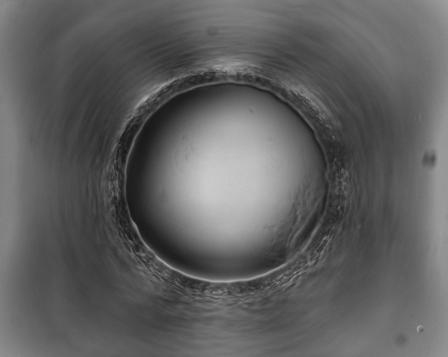 X0000100840776200806271111