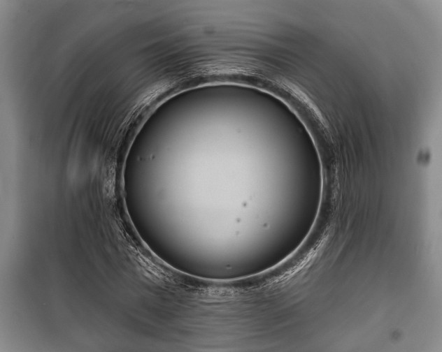 X0000100840777200806271111