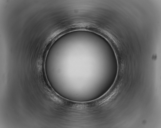 X0000100840778200806271111