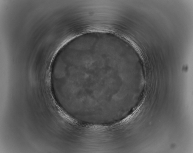 X0000100840779200806271111