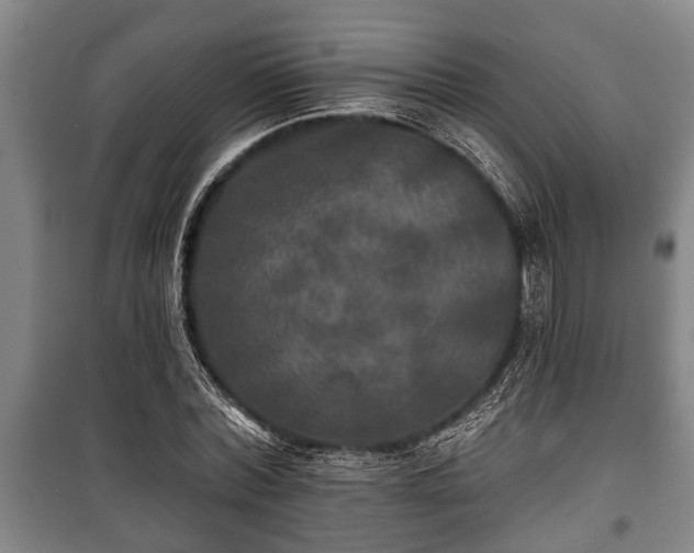 X0000100840780200806271111