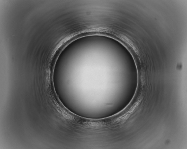 X0000100840781200806271111