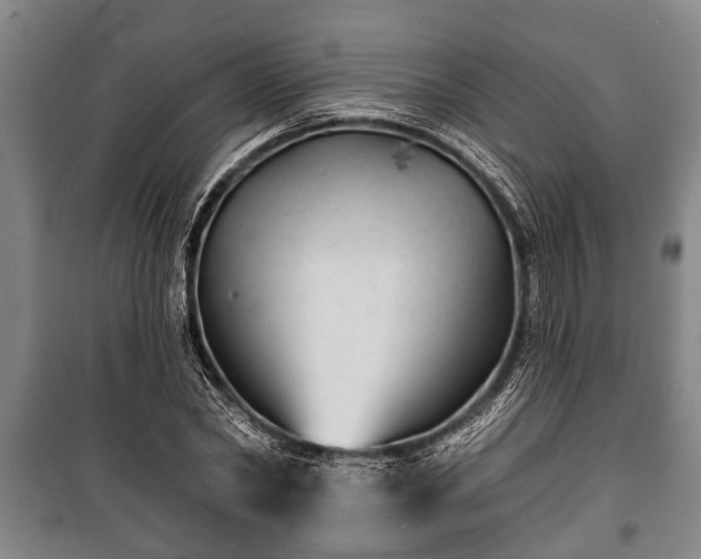 X0000100840782200806271111