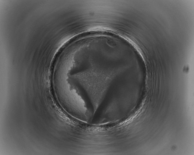 X0000100840783200806271111