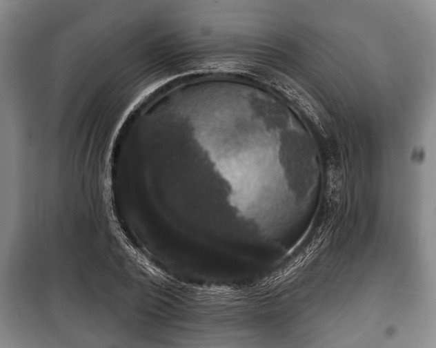 X0000100840784200806271111