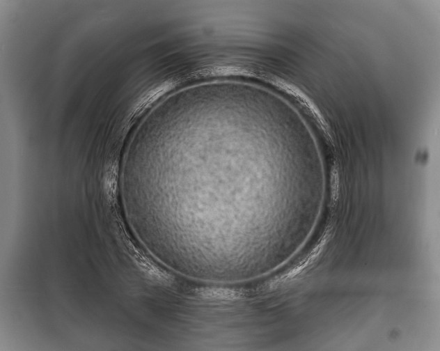 X0000100840785200806271111