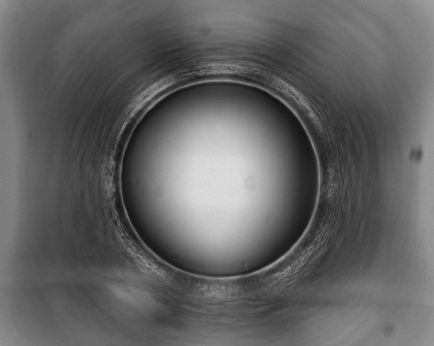 X0000100840786200806271111