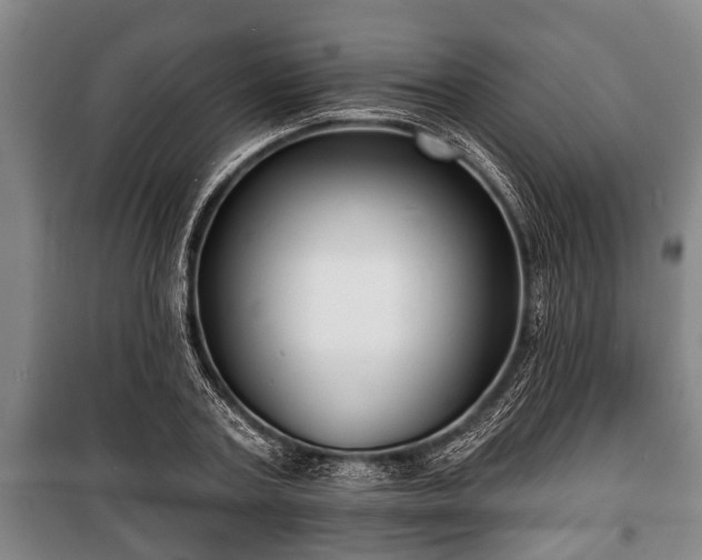 X0000100840787200806271111