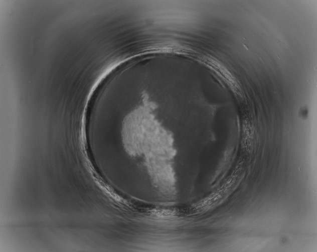 X0000100840788200806271111