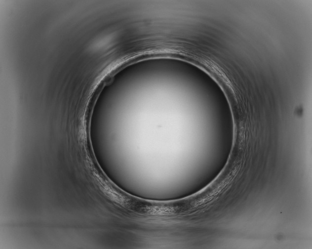 X0000100840789200806271111