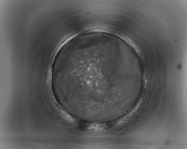 X0000100840790200806271111