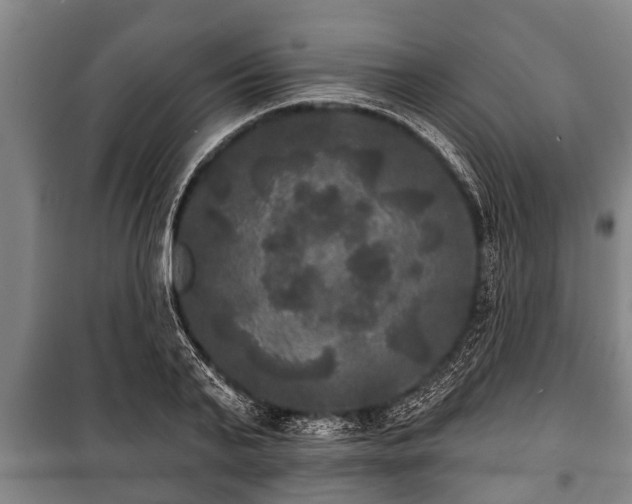 X0000100840791200806271111