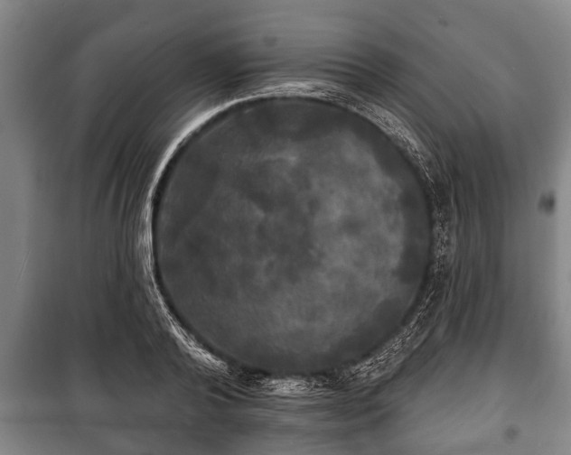 X0000100840792200806271111