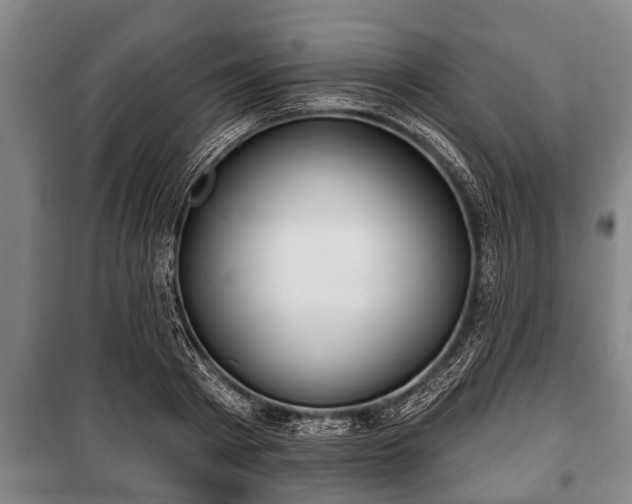 X0000100840793200806271111