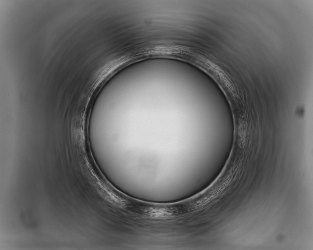 X0000100840794200806271111