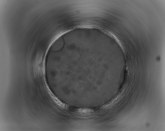 X0000100840795200806271111