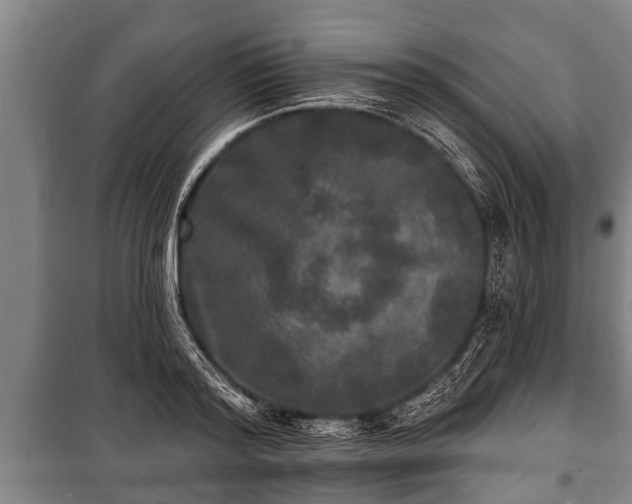 X0000100840796200806271111