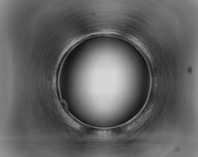 X0000100840797200806271111