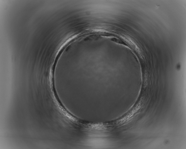 X0000100840798200806271111