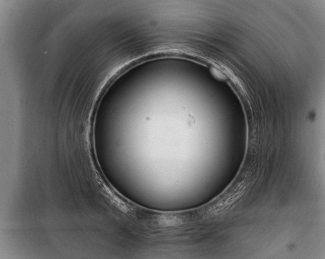 X0000100840799200806271111