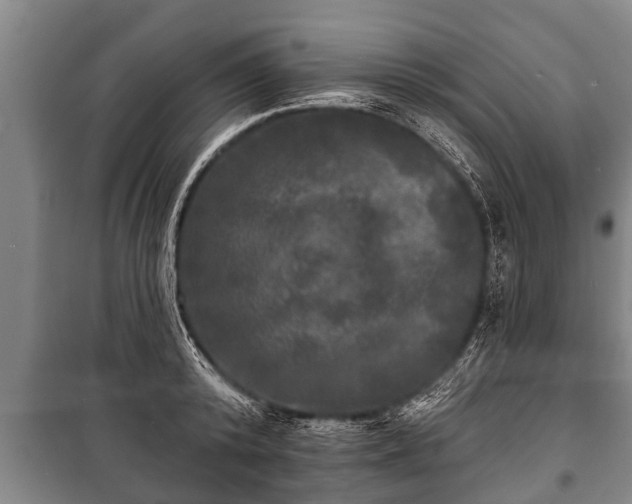 X0000100840800200806271111