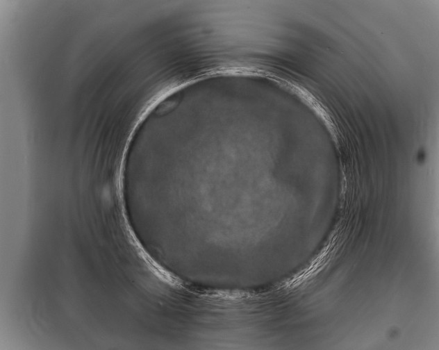 X0000100840803200806271111