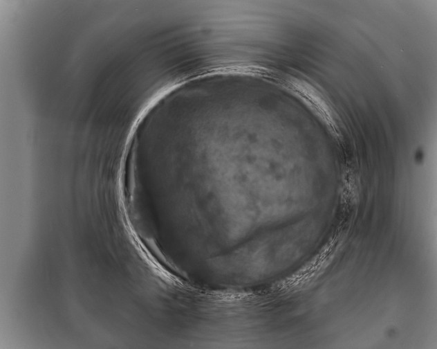 X0000100840804200806271111