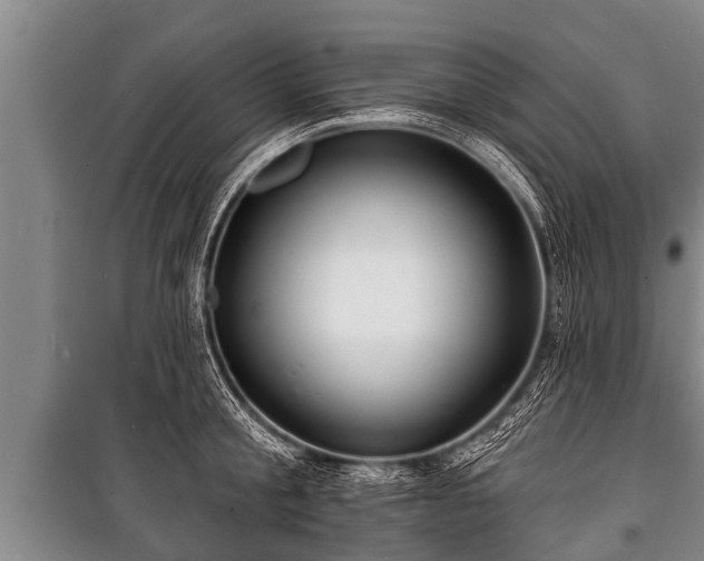 X0000100840805200806271111