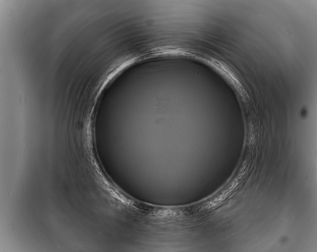 X0000100840806200806271111