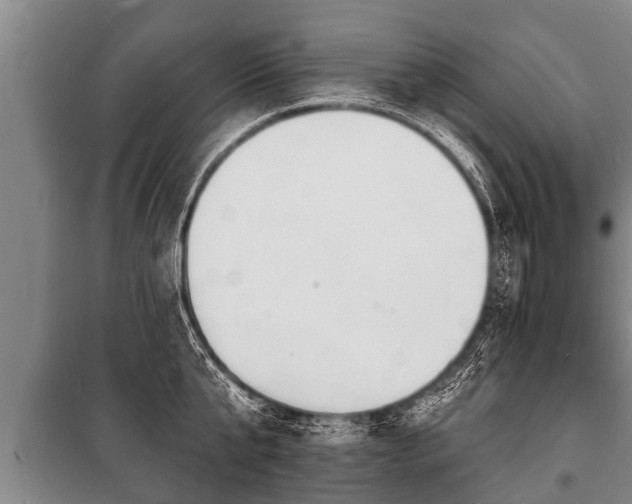 X0000100840807200806271111