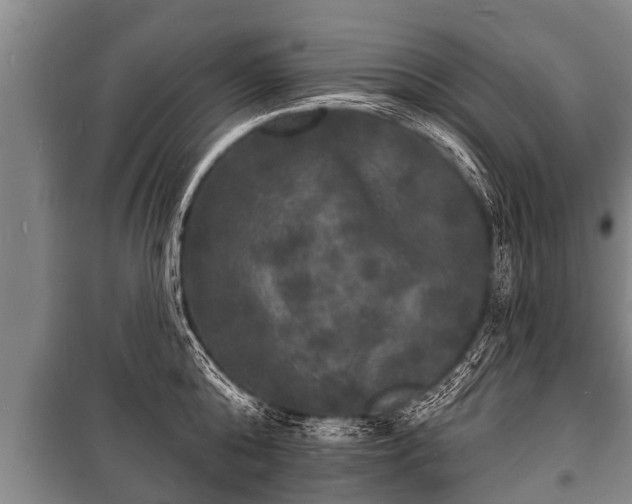 X0000100840808200806271111