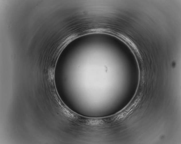 X0000100840809200806271111