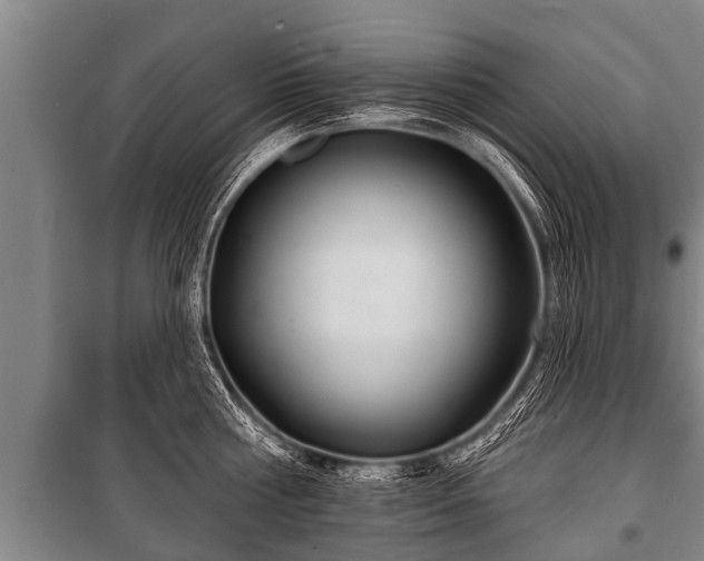 X0000100840810200806271111