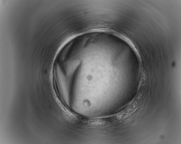 X0000100840811200806271111