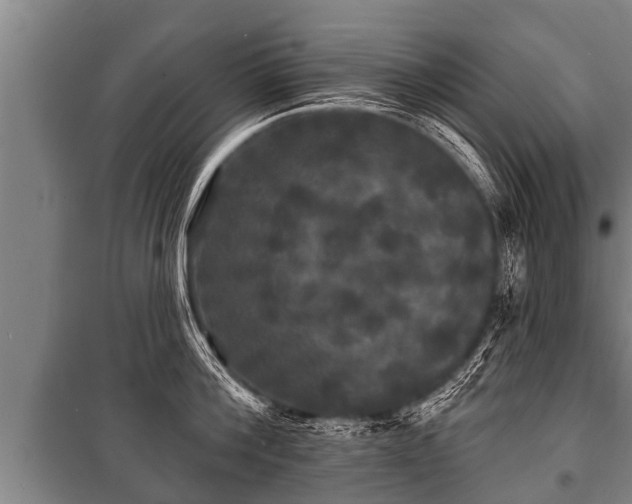 X0000100840812200806271111