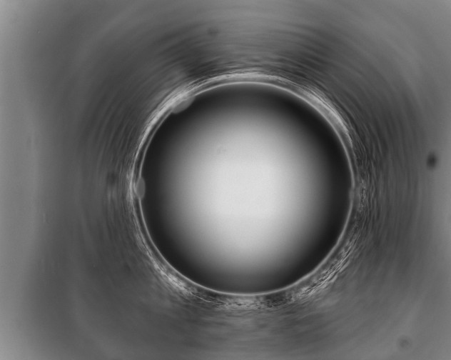 X0000100840813200806271111