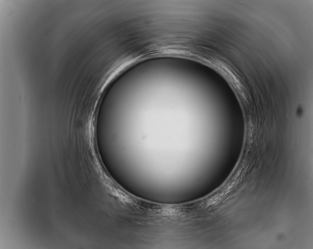 X0000100840814200806271111