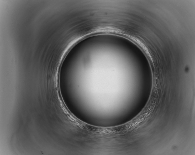 X0000100840815200806271111