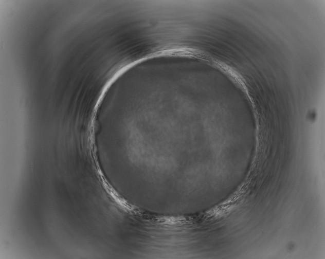 X0000100840816200806271111