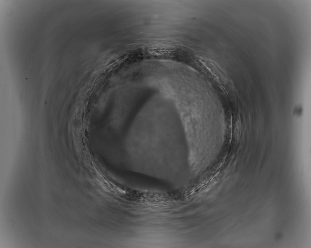 X0000100840817200806271110