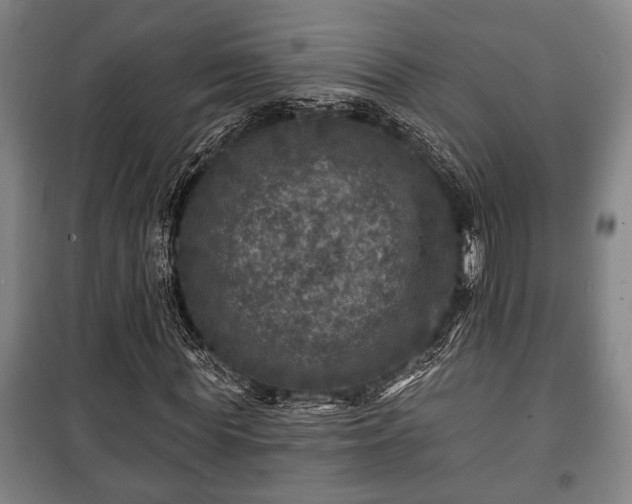 X0000100840819200806271110