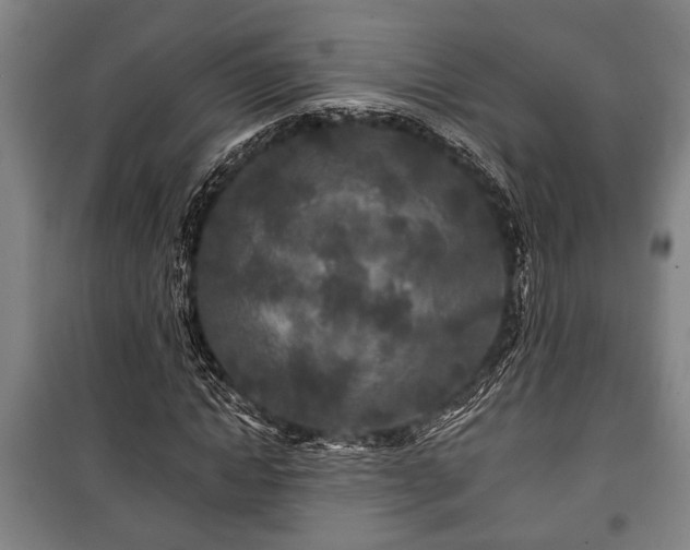 X0000100840822200806271110